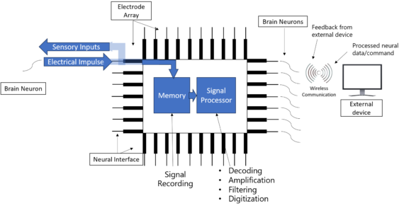 Elon Musk's Neuralink Working